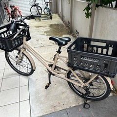 ブリヂストン TOTEBOXトートボックスラージTTB43T 1...