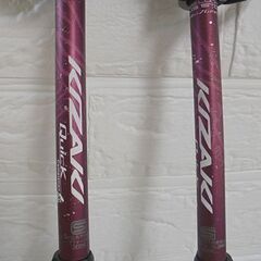 KIZAKI ノルディックウォーキングポール APAG-ZG14S キザキ 対応身長 約144-167cm 札幌市 白石店の画像