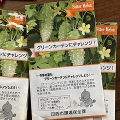 植物の種・グリーンカーテン　3種　沢山の画像