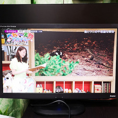 【交渉中】iiyama 24インチ フルHD モニター