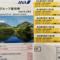 【2024/11/30まで】ANA株主優待券5枚あります　+ A...