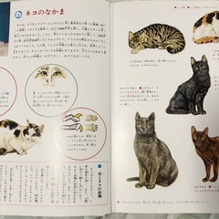 カラー図鑑21巻セット+別巻の画像