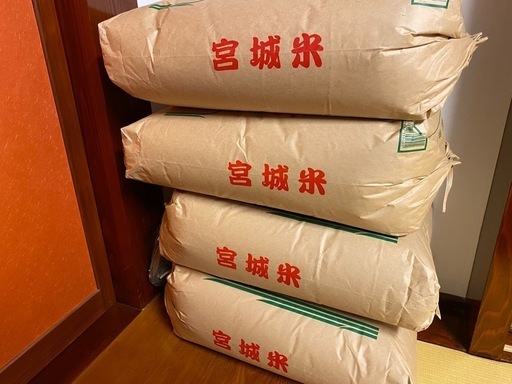 残り3袋　お米　令和5年度産　コシヒカリ玄米