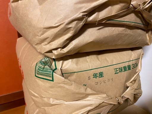 残り3袋　お米　令和5年度産　コシヒカリ玄米