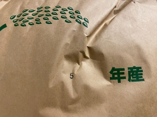 残り3袋　お米　令和5年度産　コシヒカリ玄米