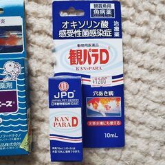 観パラD