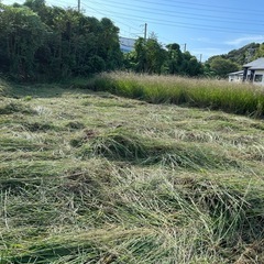 【急募】和歌山市　農地の草刈りを一緒にしてくださる方募集
