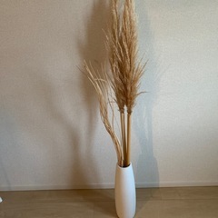 ドライフラワー