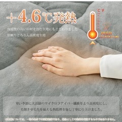 新品fuwawa 掛け布団 シングル 冬 シンサレート 掛け毛布 アルミシート入り4層構造 フランネル 軽くてあったか 高保温・断熱性 高機能中綿素材シンサート使用 従来商品よりも2倍の保温機能 静電気防止 抗菌防臭防ダニ加工 丸洗い 冬用 150×210cm ライトグレーの画像