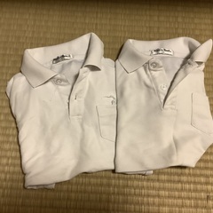 無料です　子供ポロシャツ120 セットの画像
