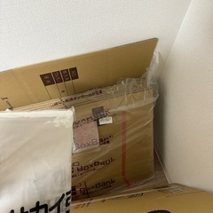 ダンボール(9月18日まで)  の画像