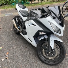 Ninja250/2015年式/走行距離1万キロ弱/
エンジン快調