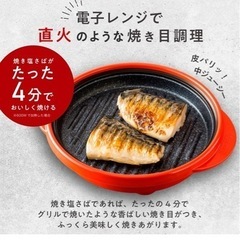 レンジメートプロの画像