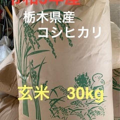群馬県産 玄米30キロ （精米可）