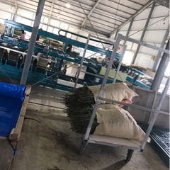 台車　作業用　倉庫移動式　農業の画像