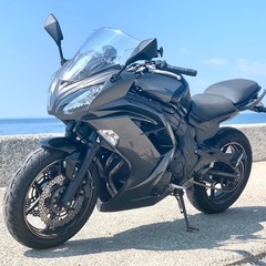 Kawasaki  ninja400 　交換も可！
