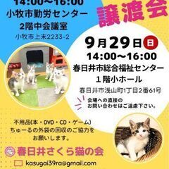 キュートなココちゃん − 愛知県