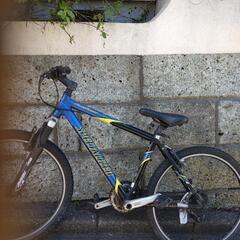 Specialized ジャンク品