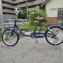 20インチ  全長170cm