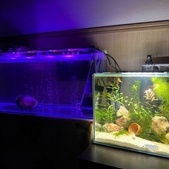 引き取り実績多数‼️不要になった水槽、アクアリウム用品引き取ります