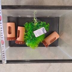 水槽400✕250✕280・隠れ家3つ・藻もどき未使用品
