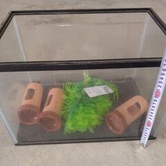 水槽400✕250✕280・隠れ家3つ・藻もどき未使用品の画像