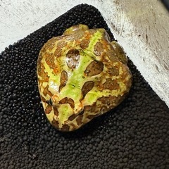 決まりました⭐︎の画像