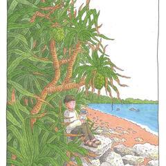 田中一村展 奄美の光 魂の絵画  （東京都美術館 企画展示室 9.19～12.1）に一緒に行って下さる方を募集しています。 - 台東区