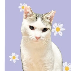 元気いっぱいの女の子