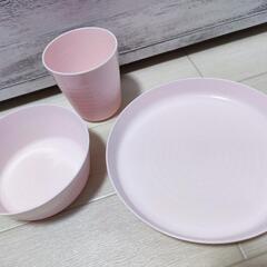 ①新品 ボウル プレート コップ 9点セット 電子レンジ対応  小皿 軽量 割れない 食器 一人暮らし パーティー キャンプの画像