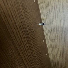 ガラス戸棚
の画像