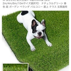 人工芝生　1m×2m　