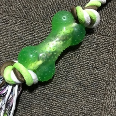 犬のおもちゃの画像