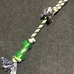 犬のおもちゃの画像