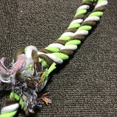 犬のおもちゃの画像