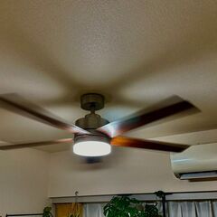 シーリングファンライト Ceiling Fan light 52...