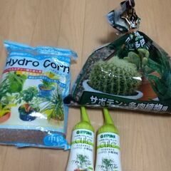 ハイポネックス2本、ハイドロコーン、多肉植物・サボテン用土
