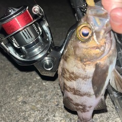 釣り友募集中