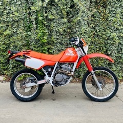 XLR ホンダ(バイク)の中古が安い!激安で譲ります・無料で XLR ホンダ(バイク)の中古が安い!激安で譲ります・無料で