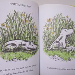 英語絵本　ハリーのだいかつやく　HARRY and the Lady Next Doorの画像