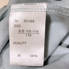 ワンピース 110の画像