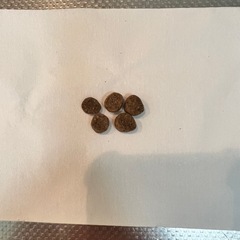 ブラックウッド1000チキン 5kg✖️3袋の画像