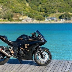 hani様 yzf-r25