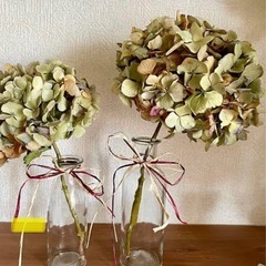 水やり不用お手入れなしでずーっと飾れる本物の花　味の画像