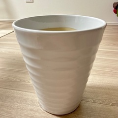 植木鉢 陶器 丸形鉢