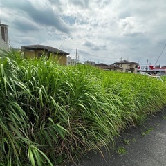除草作業員大募集！基本給25万円〜土日祝休み！