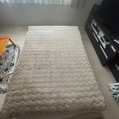 ベット　無料でもらってください