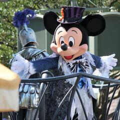ディズニーハロウィン仮装者募集中‼️
