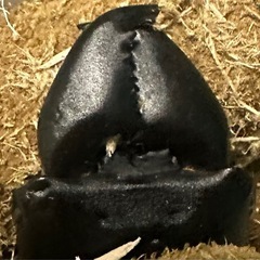問い合わせはこちらへ連絡下さい!! − 茨城県