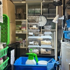 問い合わせはこちらへ連絡下さい!! - 取手市
